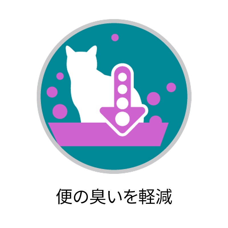 ピュリナワン インドア ターキー&amp;チキン Amazon | ネスレ日本ピュリナワンキャットIDターキー2.2kg 72680